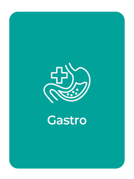 um retângulo verde com um vetor em formato de intestino humano com o nome Gastro embaixo